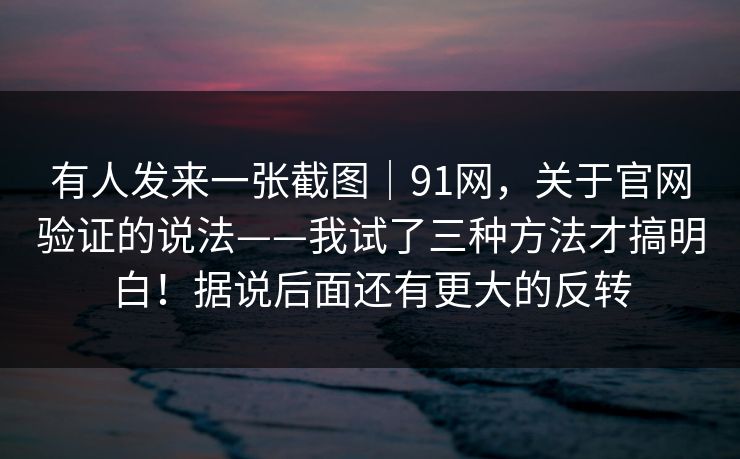 有人发来一张截图｜91网，关于官网验证的说法——我试了三种方法才搞明白！据说后面还有更大的反转