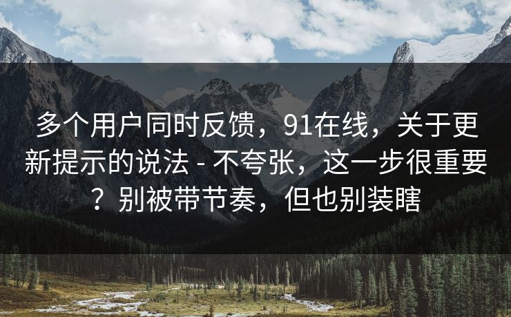 多个用户同时反馈，91在线，关于更新提示的说法 - 不夸张，这一步很重要？别被带节奏，但也别装瞎